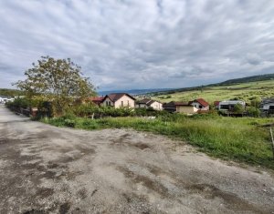 , 616m2 on Cluj-napoca, Zóna Iris