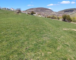 Terrain à vendre dans Ciurila