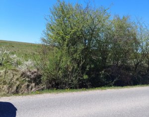 , 8200m2 in Ciurila