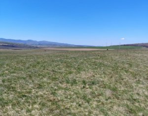 , 10000m2 in Ciurila