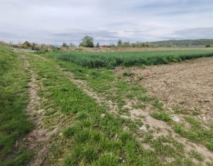 Teren cu functiuni multiple Apahida - construire fara PUZ