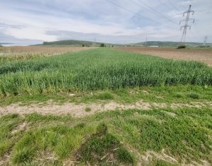 Teren cu functiuni multiple Apahida - construire fara PUZ