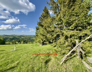 , 435m2 on Marisel