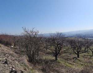 , 8900m2 in Cluj-napoca, zona Iris