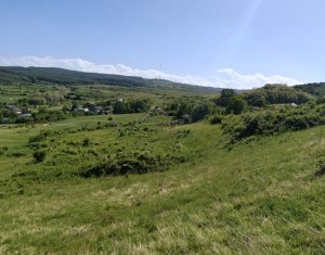 , 626m2 in Cluj-napoca, zona Borhanci