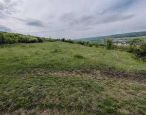 Telek eladó on Chinteni