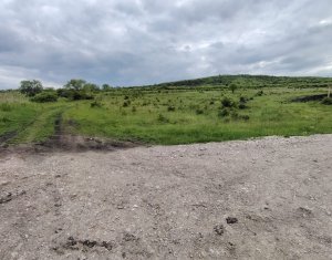 Telek eladó on Chinteni
