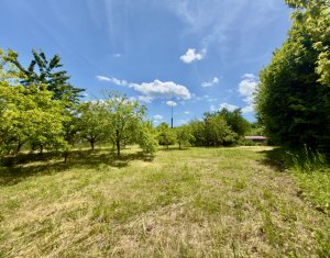 Terrain à vendre dans Cluj-napoca, zone Borhanci