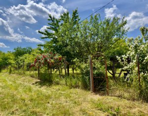 Terrain à vendre dans Cluj-napoca, zone Borhanci