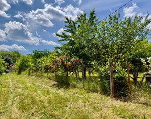 Terrain à vendre dans Cluj-napoca, zone Borhanci