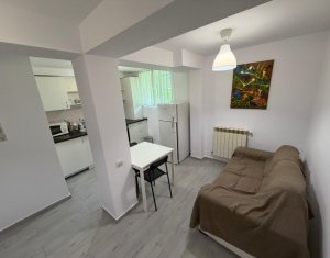 Appartement 1 chambres à louer dans Cluj-napoca, zone Manastur