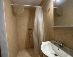 Appartement 1 chambres à louer dans Cluj-napoca, zone Manastur
