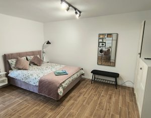 Apartament cu o cameră în vilă, lângă Parcul Central, Grigorescu