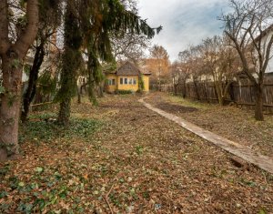 , 1654m2 in Cluj-napoca, zona Grigorescu