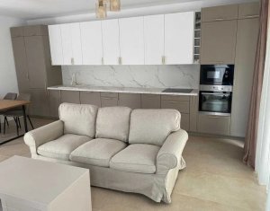 Duplex spatiu birouri, 5 camere, Iris, curte proprie, terasa, parcari