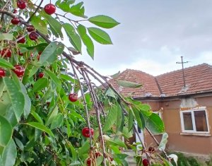, 75m2 in Dangau Mare, zona Centru