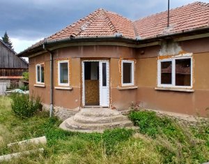 Maison 3 chambres à vendre dans Dangau Mare, zone Centru