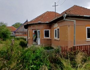 Maison 3 chambres à vendre dans Dangau Mare, zone Centru
