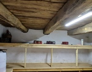 Maison 3 chambres à vendre dans Dangau Mare, zone Centru