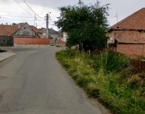 Maison 3 chambres à vendre dans Dangau Mare, zone Centru