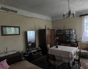 Maison 3 chambres à vendre dans Cluj-napoca, zone Andrei Muresanu