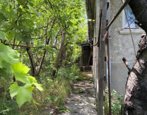Maison 3 chambres à vendre dans Cluj-napoca, zone Andrei Muresanu