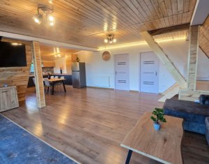 Maisons de vacances à vendre dans Valea Ierii