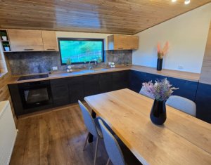 Maisons de vacances à vendre dans Valea Ierii