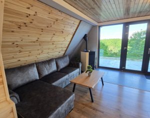 Maisons de vacances à vendre dans Valea Ierii