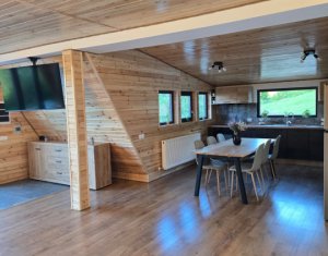 Maisons de vacances à vendre dans Valea Ierii