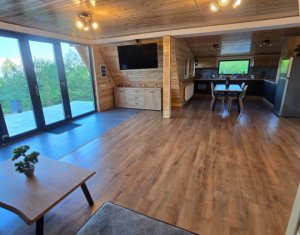 Maisons de vacances à vendre dans Valea Ierii