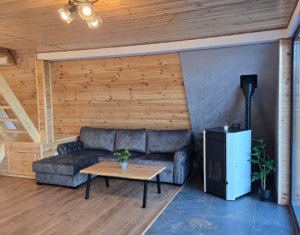 Maisons de vacances à vendre dans Valea Ierii