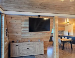 Maisons de vacances à vendre dans Valea Ierii