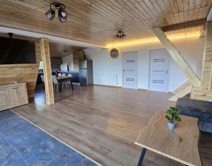 Maisons de vacances à vendre dans Valea Ierii