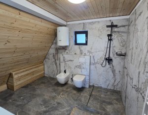 Maisons de vacances à vendre dans Valea Ierii