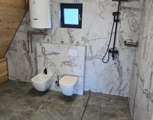 Maisons de vacances à vendre dans Valea Ierii