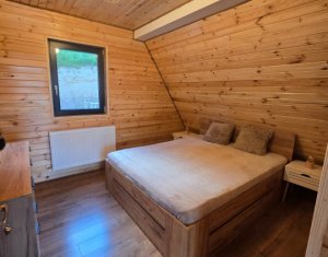 Maisons de vacances à vendre dans Valea Ierii
