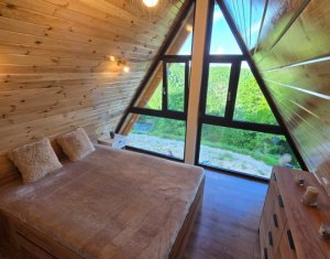 Maisons de vacances à vendre dans Valea Ierii