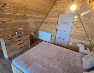 Maisons de vacances à vendre dans Valea Ierii
