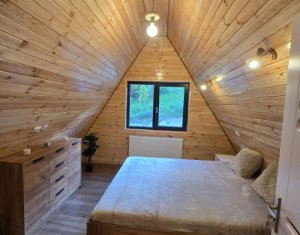 Maisons de vacances à vendre dans Valea Ierii