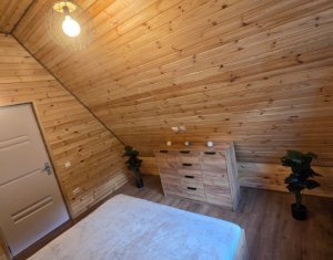 Maisons de vacances à vendre dans Valea Ierii