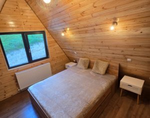 Maisons de vacances à vendre dans Valea Ierii