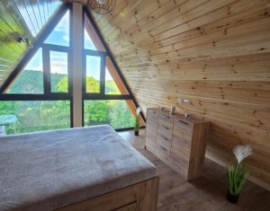 Maisons de vacances à vendre dans Valea Ierii