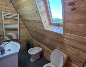 Maisons de vacances à vendre dans Valea Ierii