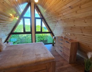 Maisons de vacances à vendre dans Valea Ierii