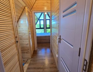 Maisons de vacances à vendre dans Valea Ierii
