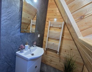 Maisons de vacances à vendre dans Valea Ierii
