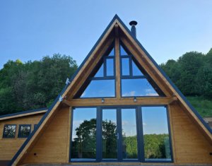 Maisons de vacances à vendre dans Valea Ierii