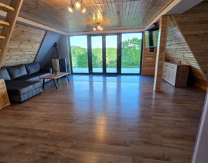 Maisons de vacances à vendre dans Valea Ierii