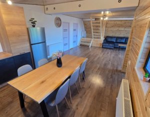 Maisons de vacances à vendre dans Valea Ierii